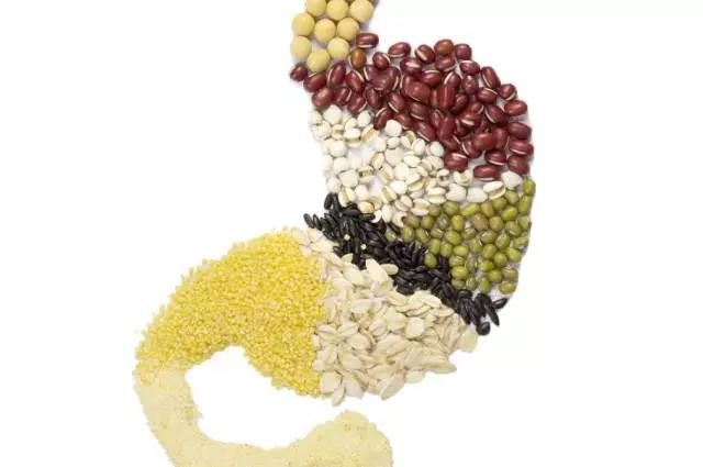 長(zhǎng)夏養(yǎng)生，吃出好“ 胃”口！